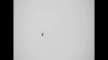 Ciliary microrobot by our group at the DGIST