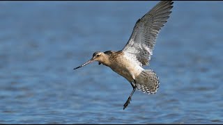 Without A Doubt Devotional 06 Details