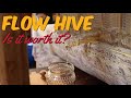 Como Funciona la Colmena Flow (Flow Hive™) - ¿Merece la Pena? - Review