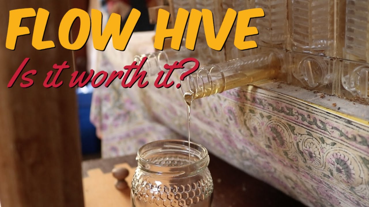 Como Funciona la Colmena Flow (Flow Hive™) - ¿Merece la Pena? - Review
