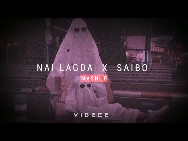 Nai Lagda X Saibo - Lofi Mashup | Slowed Reverb | A360D class=