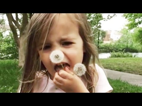 eat-it!-if-you-can't-do-it-cutely---dandelion-pranks