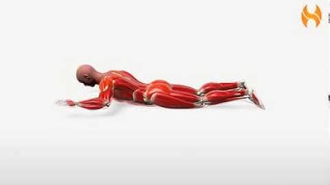 Exercise Videos- Prone Lying Back Extension