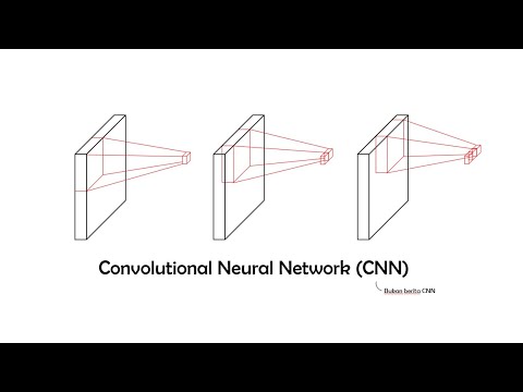 Video: MS2CNN: Meramalkan Spektrum MS / MS Berdasarkan Urutan Protein Menggunakan Rangkaian Saraf Convolutional Yang Mendalam