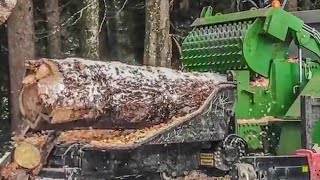 Amazing Dangerous Powerful Wood Chipper Machines Working, Fastest Tree Shredder Machine Technology