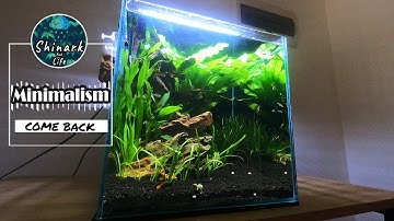 Low tech aquascape tutorial setup simple nano planted tank aquarium for beginners Easy maintenance