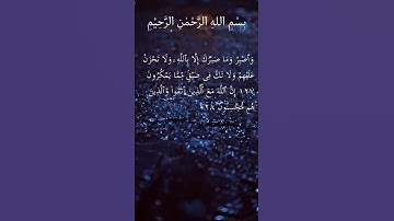 سورة النحل اية 127-128