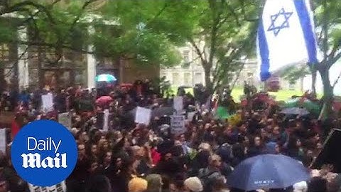 Large crowds gather for pro-Palestine protests in London - Daily Mail