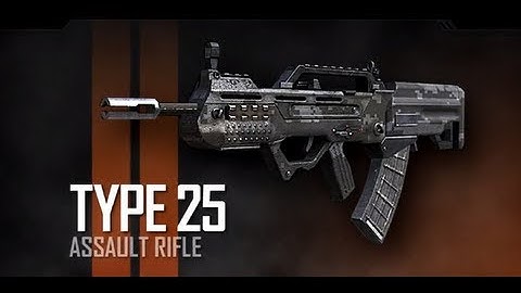 Black Ops 2: Custom Class Setup | Type 25