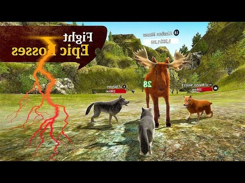 The Wolf #2 ~ Wildcraft !! Wolf Pet Simulator Game ~ Android Ios ...