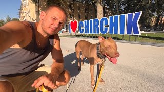 видео: ЖИВУ, КАК В РАЮ С ДЖИНОЙ! ЧИРЧИК, ТАШКЕНТ ХЛЕБНЫЙ ГОРОД картинка: ЖИВУ, КАК В РАЮ С ДЖИНОЙ! ЧИРЧИК, ТАШКЕНТ ХЛЕБНЫЙ ГОРОД