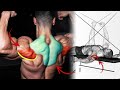 أفضل تمارين لتضخيم الكتف الخلفي و الترابيس تمارين قوية shoulders & traps exercices