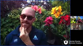 Ask an Expert: Canna Lilies (Online Q&A)