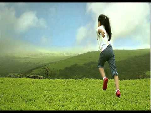 لملمي دمعك يا عين وليد توفيق Wmv