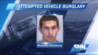 SNN: Manatee Witness Stops Car Thief