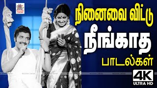 1976 முதல் 2003 வரை ரசிகர்கள் நெஞ்சை விட்டு நீங்காது என்றும் இடம்பிடித்த பாடல்கள் Nenjai vittu