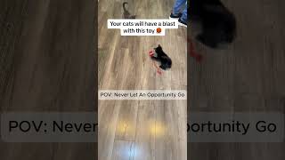 Famous Black Friday Sale!Check out our shop for cats' fav toys link in bio #blackfridaysale #yearendsale Profile