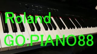 【日本】GO:PIANO88のレビューをしてみた / Roland GO:PIANO88 REVIEW