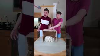 WHATS IN THE BOX CHALLENGE w/Freddie #shorts