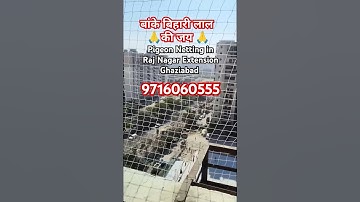 pigeon netting in raj nagar extension ghaziabad 9716060555 #music #love #song