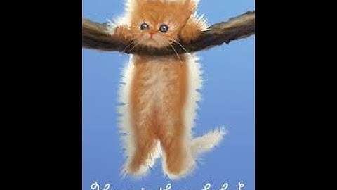 Worst video on youtube  "Graphic "  Viewer Discretion is Advised