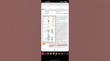 MCQs For NEET,Principles of Inheritance & Variation,Mendel Experiment,Biology Class 12th PYQ Solved.
