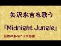 『Midnight Jungle』/矢沢永吉を歌う_580 by 自然の恵みに日々感謝