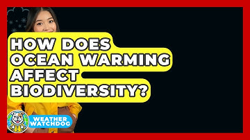 How Does Ocean Warming Affect Biodiversity? - Weather Watchdog