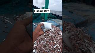 fishing 🐠🎣 day #shorts #viral #fishingvideo #fishing