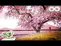 Capture de la vidéo Relaxing Piano Music: Romantic Music, Beautiful Relaxing Music, Sleep Music, Stress Relief ★122