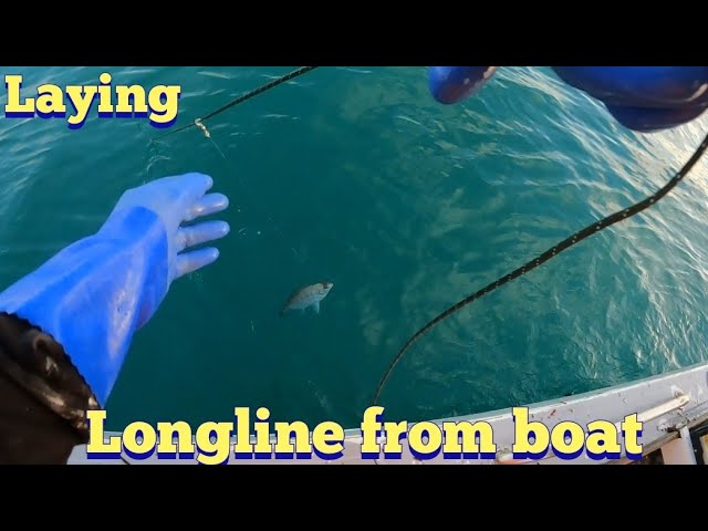 Long Line/Trot Line How To Make Trot/Longline 