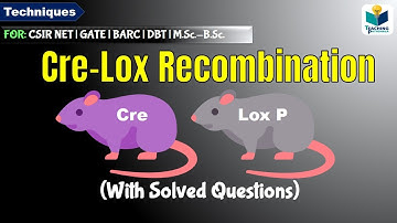 CRE-LOXP RECOMBINATION || cre lox system