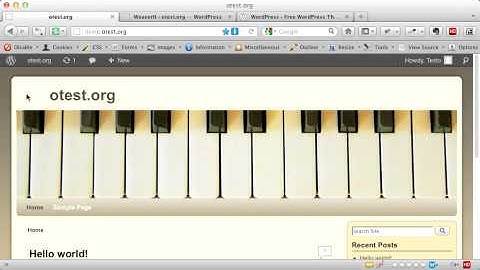 Install, Activate and Customize a New WordPress Theme