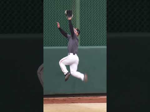 【巨人】相澤白虎選手が守備練習中に大ハプニング #shorts #baseball #プロ野球 #巨人