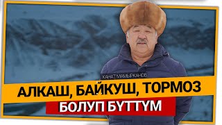 видео:  картинка: