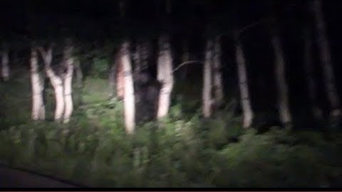 Bigfoot sighting near Sundance Utah - zoomed - stabilized - original