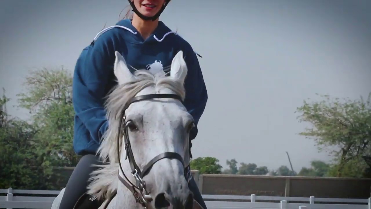 HorseBack Riding in Kuwait YouTube