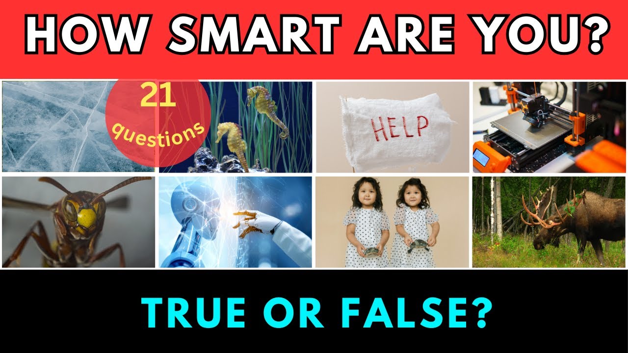 🌟 21 Mind-Blowing True or False Facts You Won’t Believe! 🌟 - YouTube