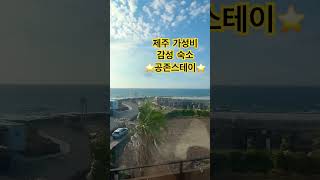 제주 가성비 감성 숙소 공존스테이#제주가성비숙소 #제주감성숙소 #제주숙소