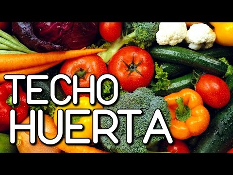 Vídeo: Arcs, Parets, Pèrgoles I Túnels En Jardineria Vertical