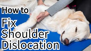 How Do You Fx Shoulder Dislocation in Dog?