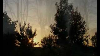 Alunni del Sole - Poesia d'ottobre - rarità.flv chords