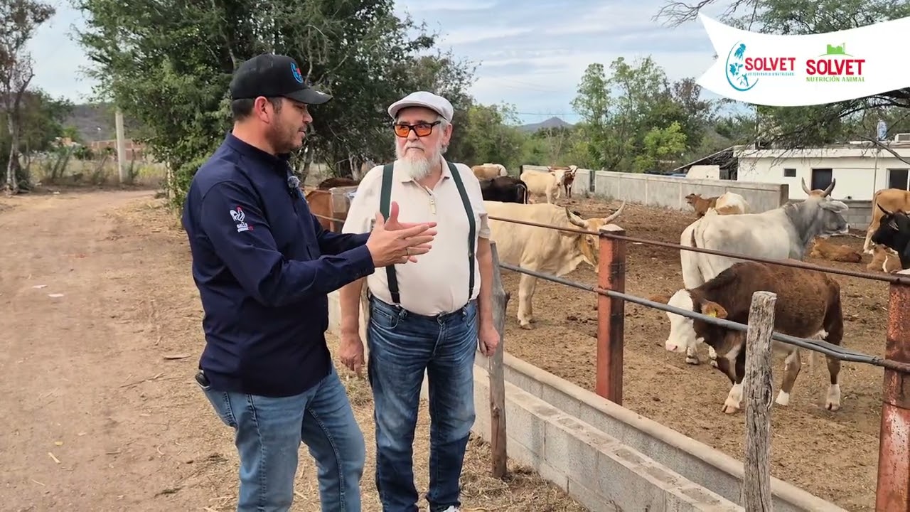 Lo mejor para tu ganado: Suplementos proteicos.