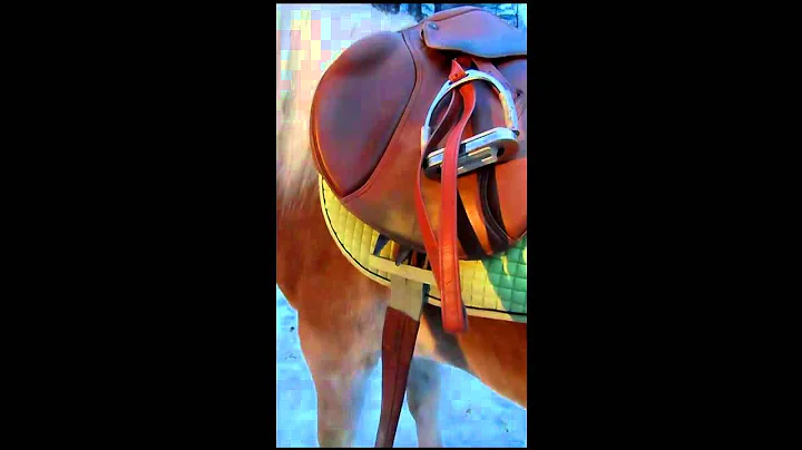 Saddling Tutorial - Tonka