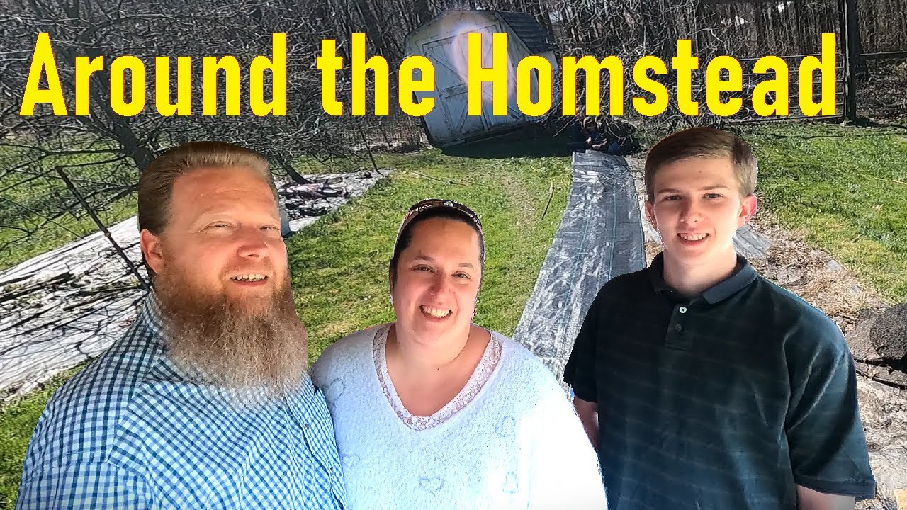 Around the Homestead Grape Arbors, Chicks, Chicken Coop, Bread Day