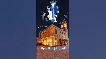 يمكن تظهر اليلة العدراء فى طلة جميلة Shotrs 