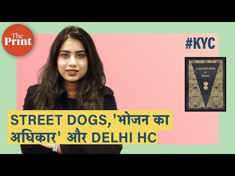 Street Dogs को भी 'भोजन का अधिकार' और नागरिकों को उन्हें खिलाने का हक: दिल्ली HC