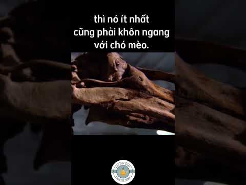 Video: Dodo bird: câu chuyện về sự tiêu diệt