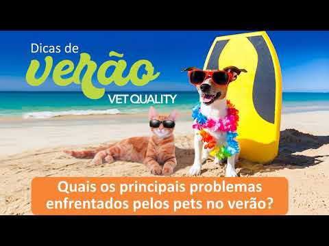 Dicas de Verão Vet Quality