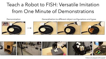 Teach a Robot to FISH: Versatile Imitation from One Minute of Demonstrations